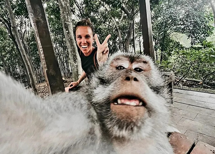 Ubud Classic Day Trip